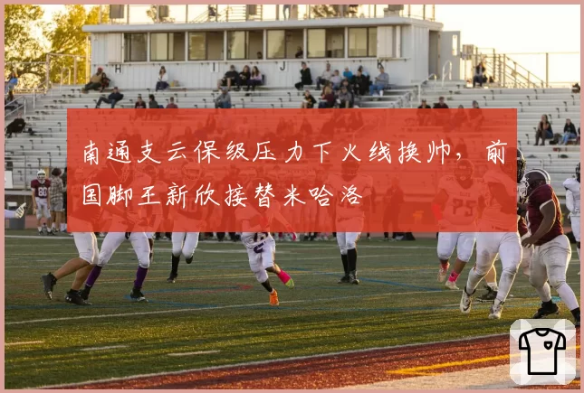南通支云保级压力下火线换帅，前国脚王新欣接替米哈洛