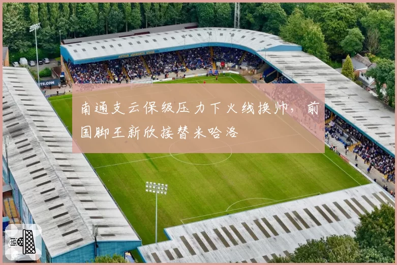 南通支云保级压力下火线换帅,前国脚王新欣接替米哈洛