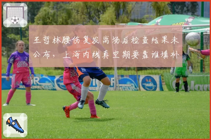 王哲林腰伤复发离场后检查结果未公布，上海内线真空期要靠谁填补？